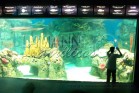 Temaiken Acuario Marino
