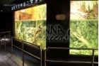 Temaiken Acuario de Rio