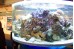 Acuario Tubular